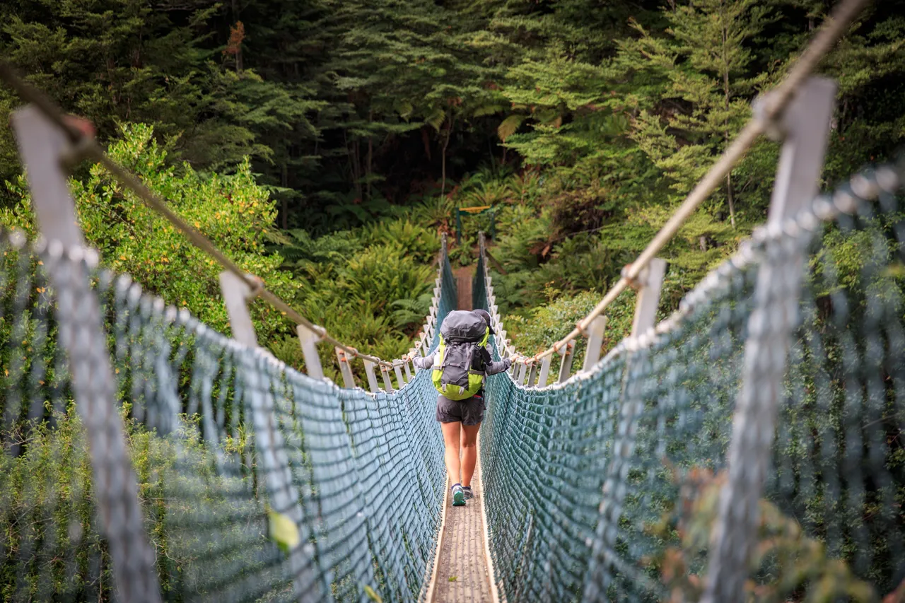Hump Ridge Track - Southland, New Zealand - Credit Liz Carlson (24)