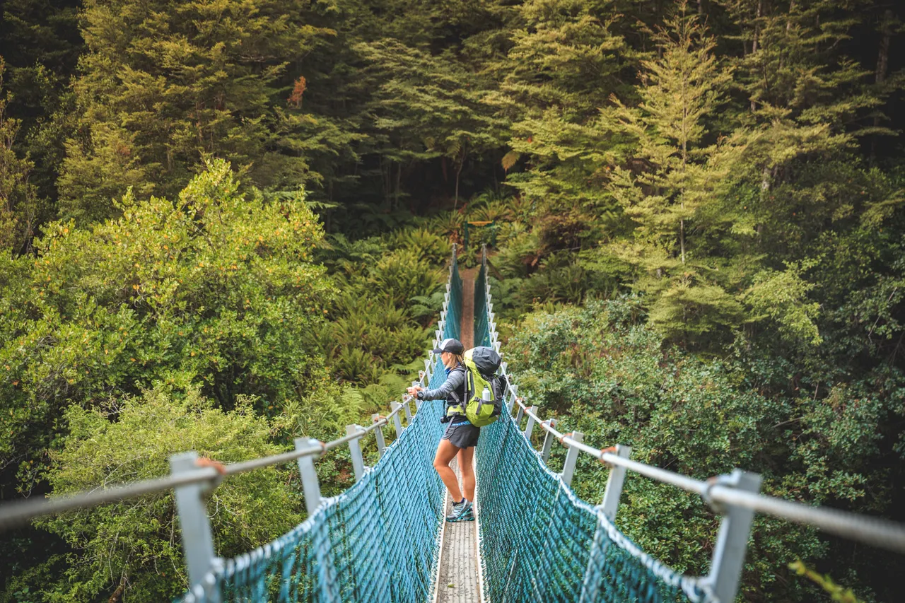 Hump Ridge Track - Southland, New Zealand - Credit Liz Carlson (23)