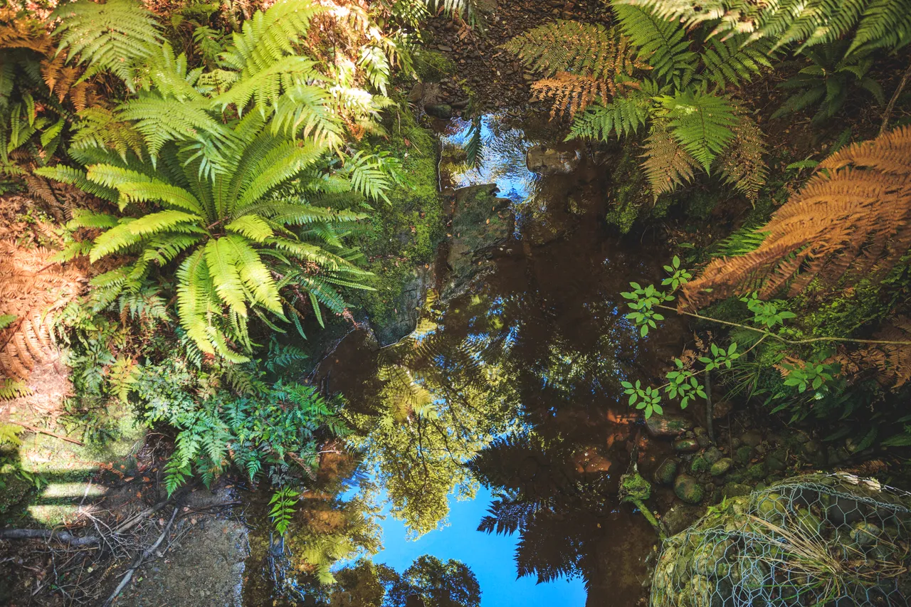 Hump Ridge Track - Southland, New Zealand - Credit Liz Carlson (212)