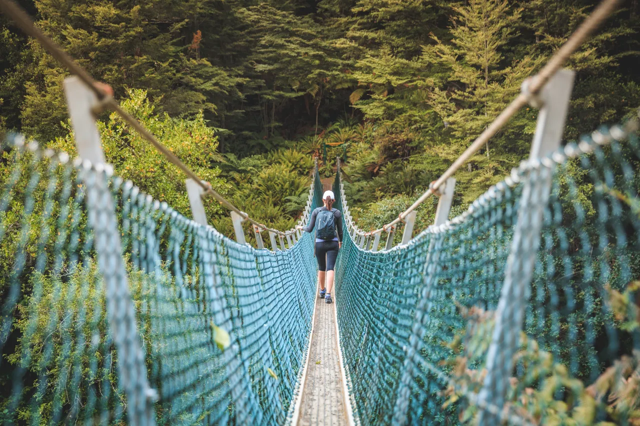 Hump Ridge Track - Southland, New Zealand - Credit Liz Carlson (19)