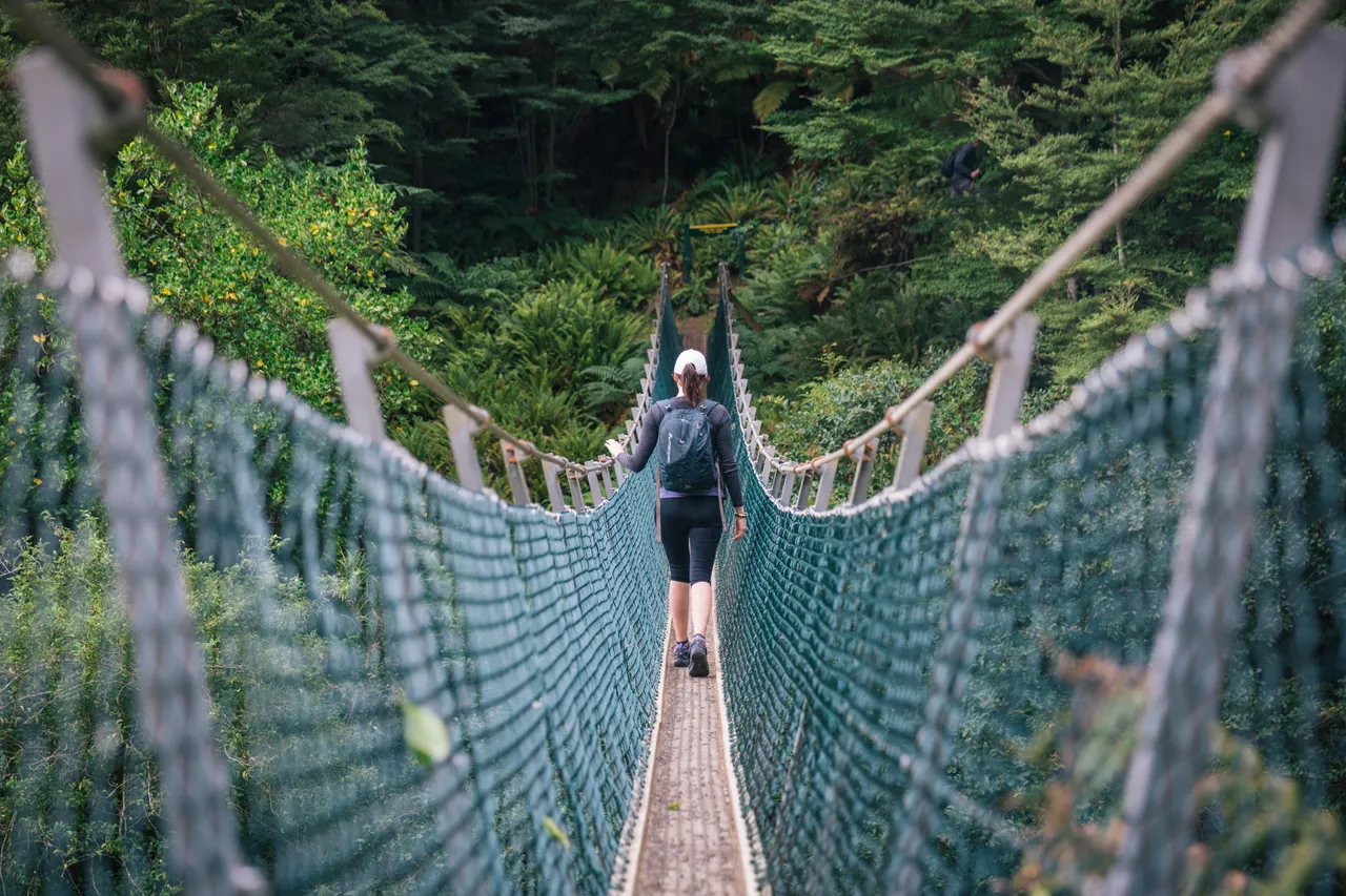 Hump Ridge Track - Southland, New Zealand - Credit Liz Carlson (18)