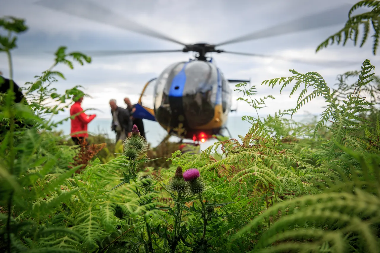 Hump Ridge Track - Southland, New Zealand - Credit Liz Carlson (11)