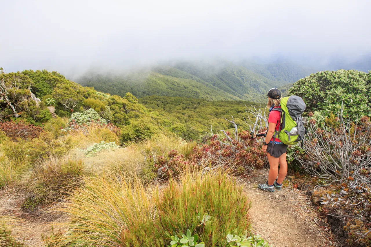 Hump Ridge Track - Southland, New Zealand - Credit Liz Carlson (84)