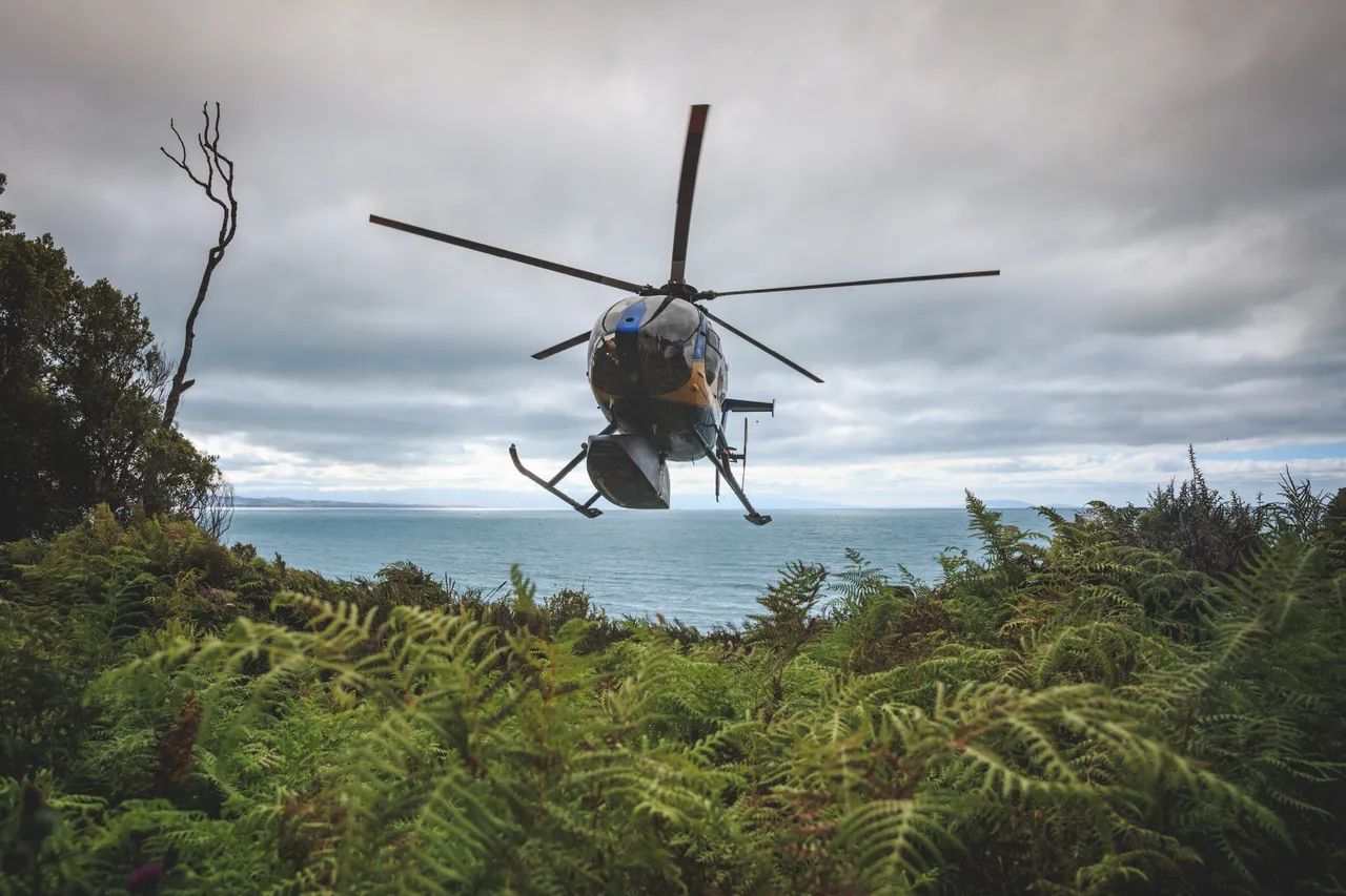 Hump Ridge Track - Southland, New Zealand - Credit Liz Carlson (10)