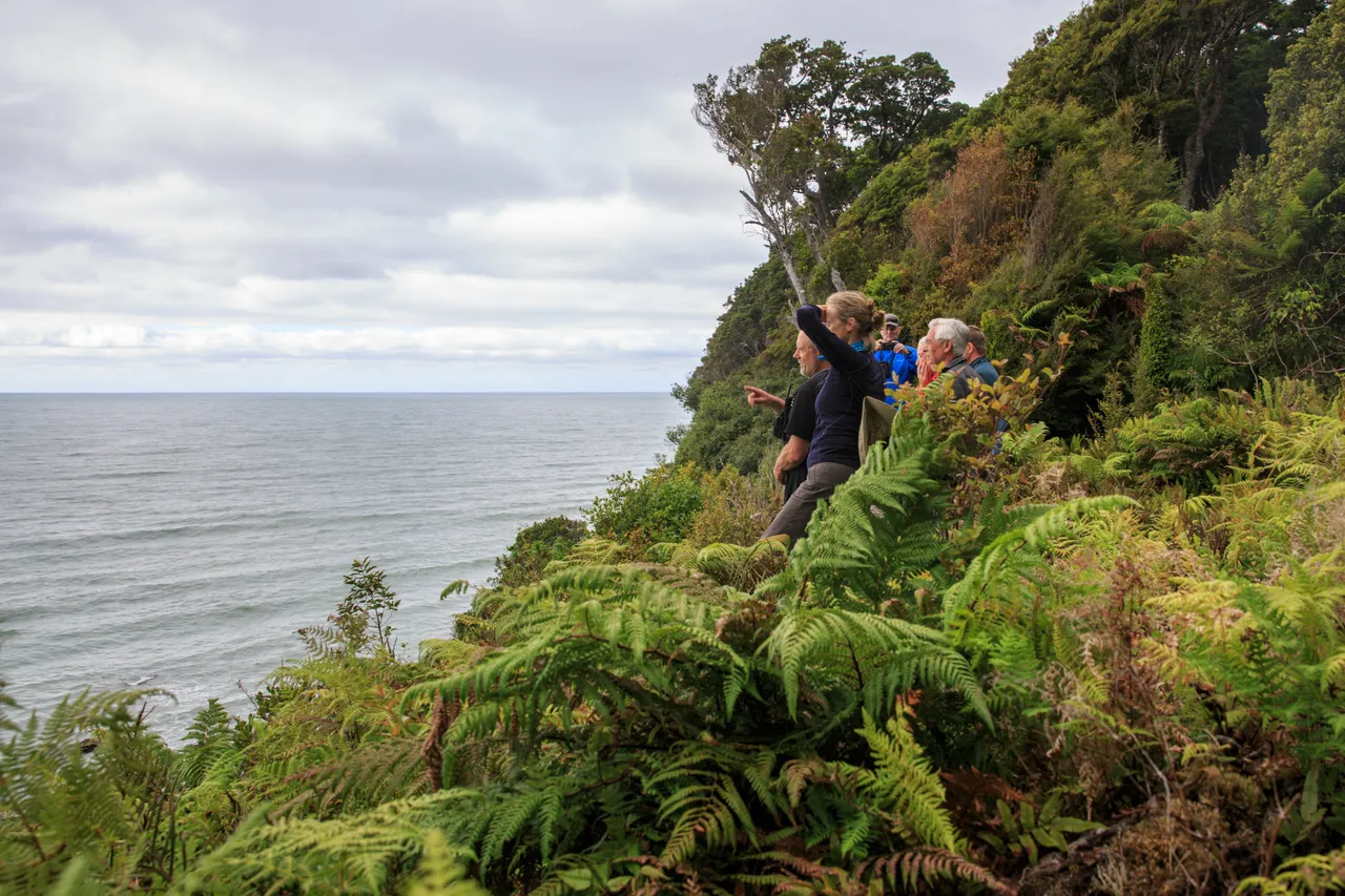 Hump Ridge Track - Southland, New Zealand - Credit Liz Carlson (12)