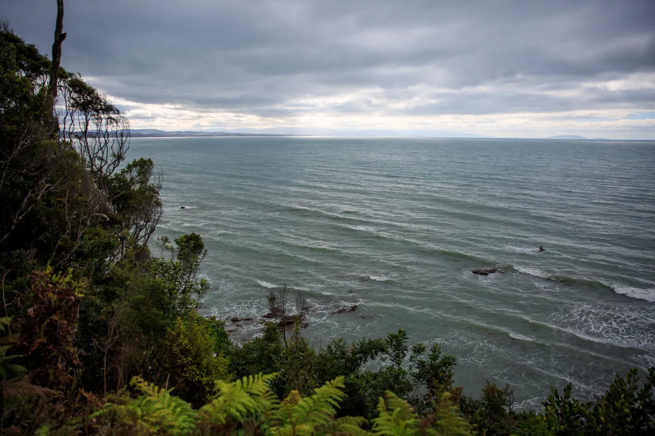 Hump Ridge Track - Southland, New Zealand - Credit Liz Carlson (9)