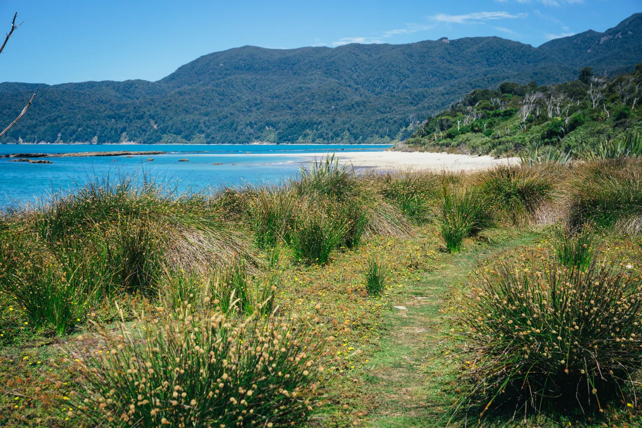 Hump Ridge Track - Southland, New Zealand - Credit Liz Carlson (209)
