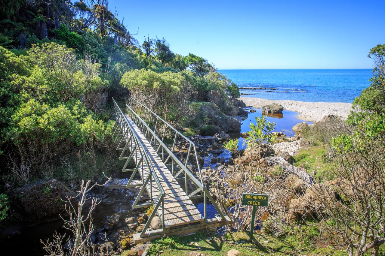 Hump Ridge Track - Southland, New Zealand - Credit Liz Carlson (205)