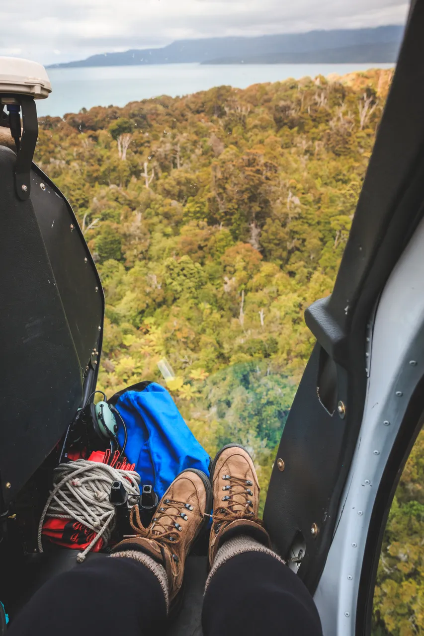 Hump Ridge Track - Southland, New Zealand - Credit Liz Carlson (2)