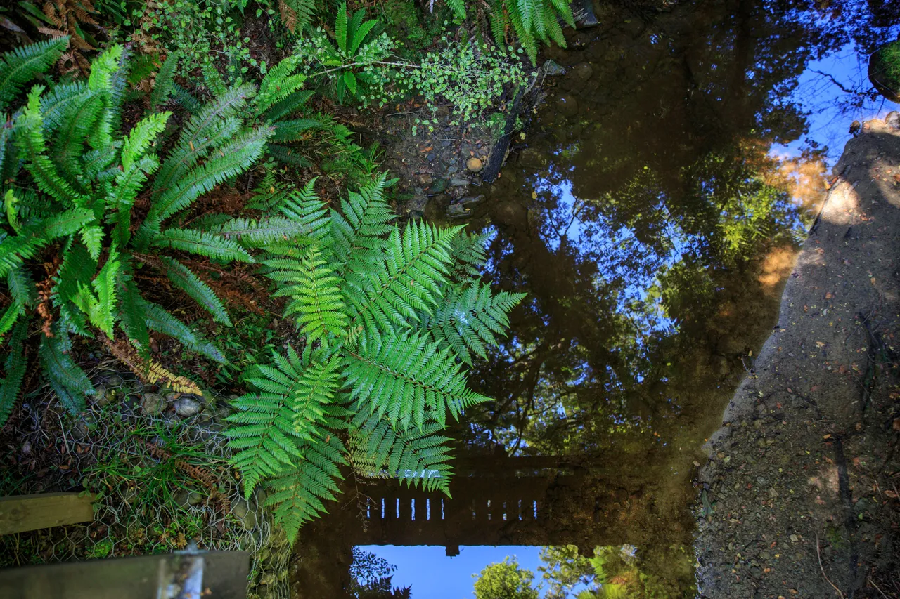 Hump Ridge Track - Southland, New Zealand - Credit Liz Carlson (211)
