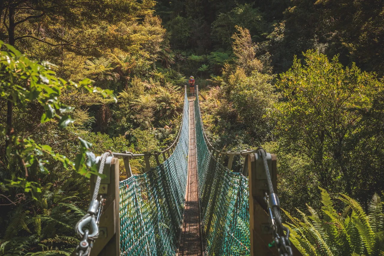 Hump Ridge Track - Southland, New Zealand - Credit Liz Carlson (216)