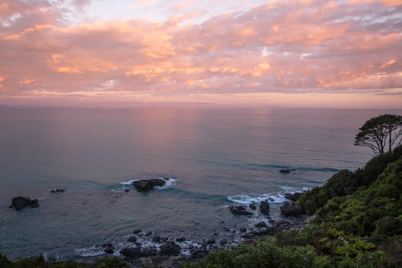 Hump Ridge Track - Southland, New Zealand - Credit Liz Carlson (197)
