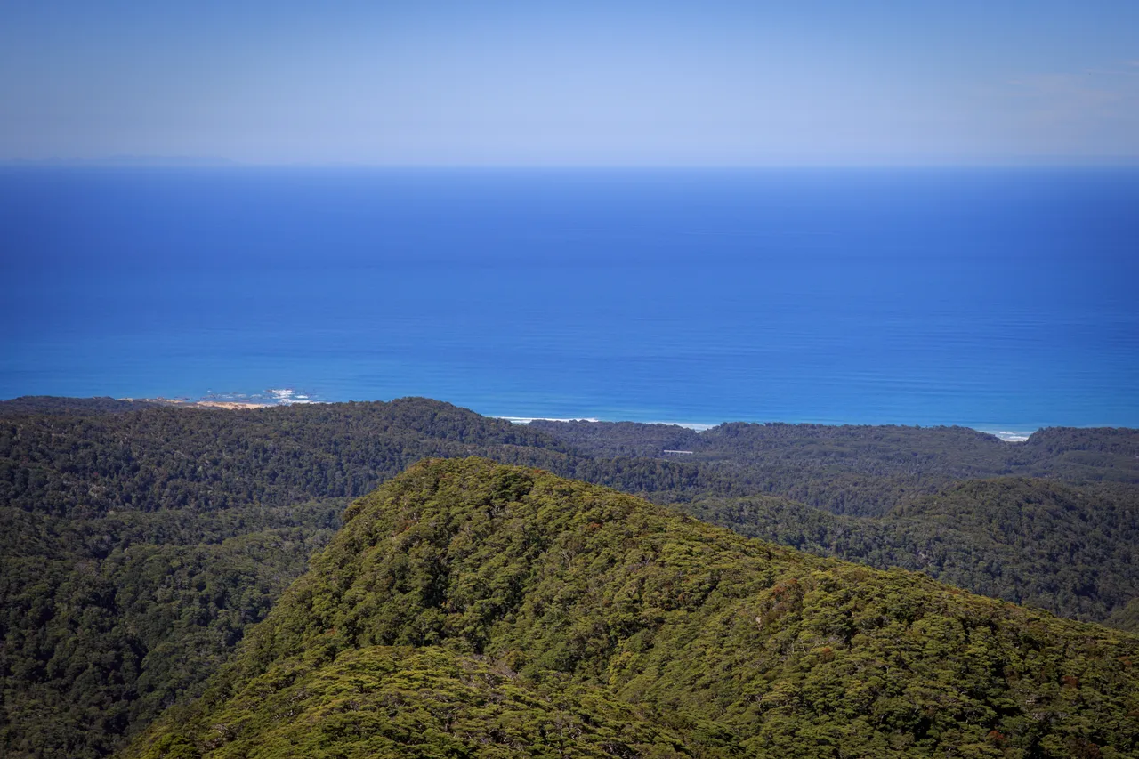 Hump Ridge Track - Southland, New Zealand - Credit Liz Carlson (180)