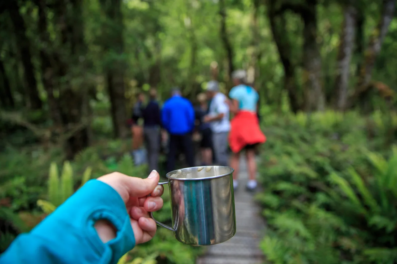 Hump Ridge Track - Southland, New Zealand - Credit Liz Carlson (40)