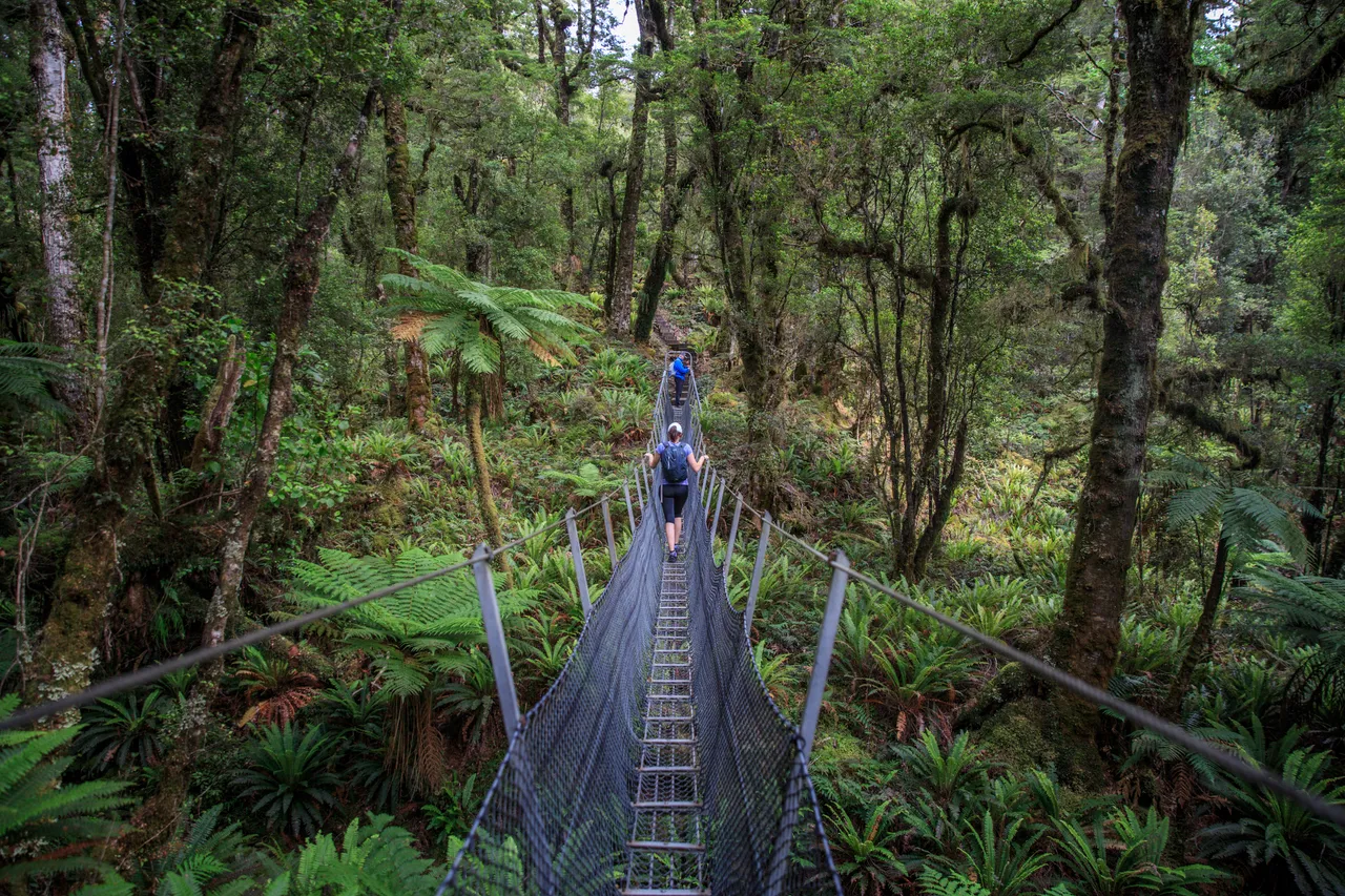 Hump Ridge Track - Southland, New Zealand - Credit Liz Carlson (35)