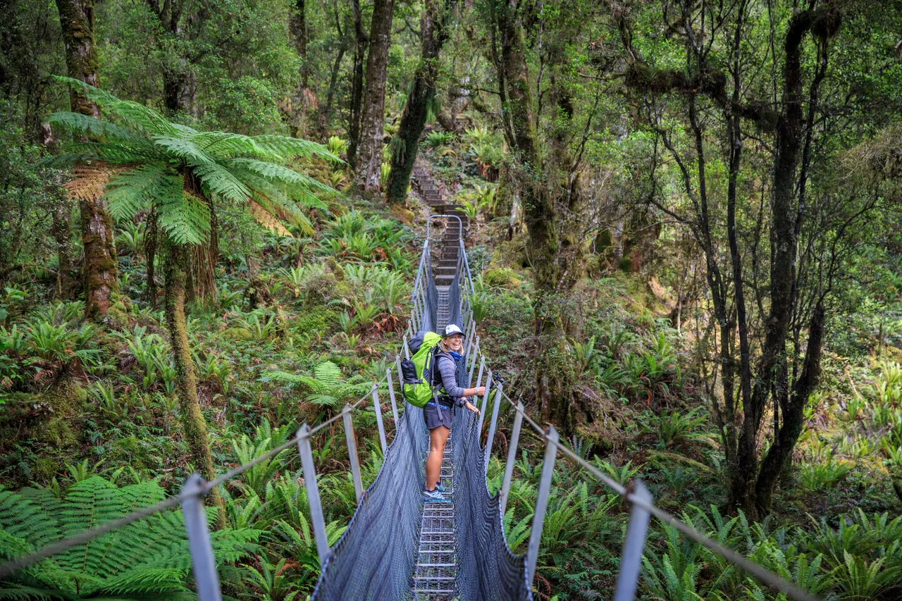 Hump Ridge Track - Southland, New Zealand - Credit Liz Carlson (37)