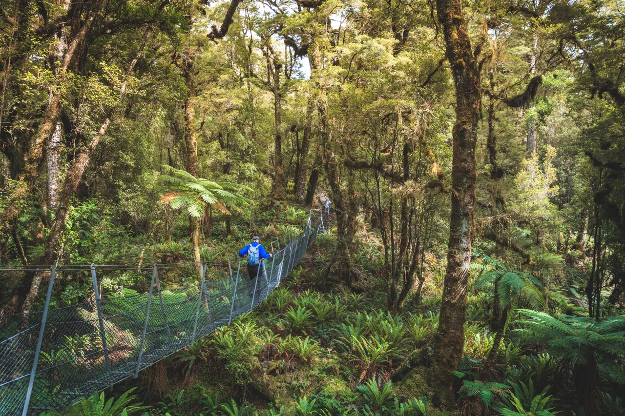 Hump Ridge Track - Southland, New Zealand - Credit Liz Carlson (34)