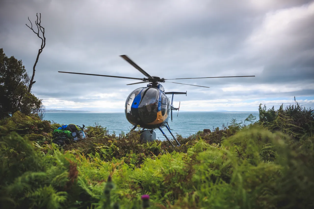 Hump Ridge Track - Southland, New Zealand - Credit Liz Carlson (7)