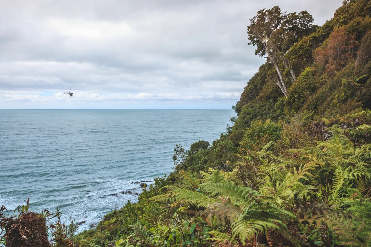 Hump Ridge Track - Southland, New Zealand - Credit Liz Carlson (13)