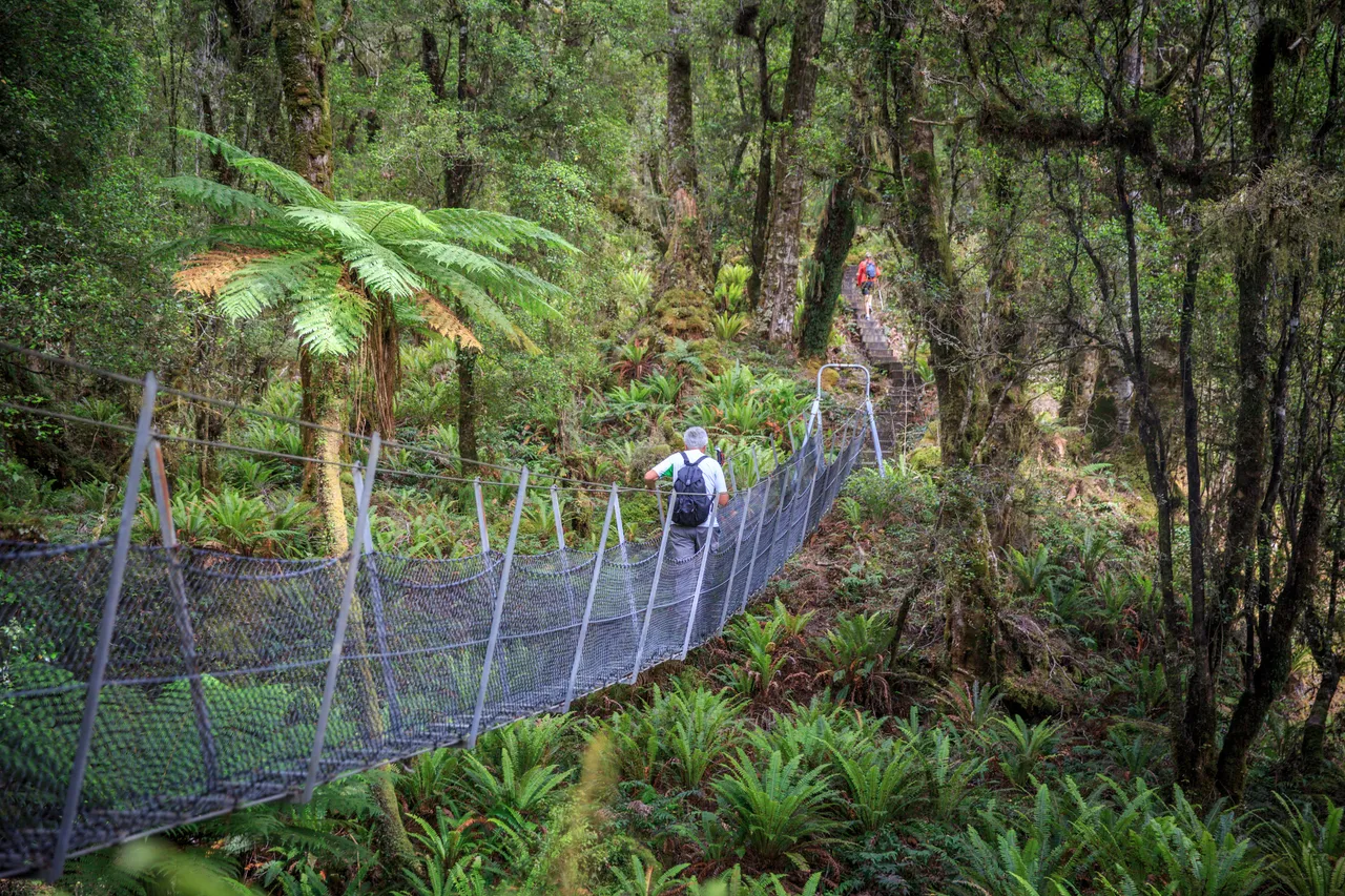 Hump Ridge Track - Southland, New Zealand - Credit Liz Carlson (33)