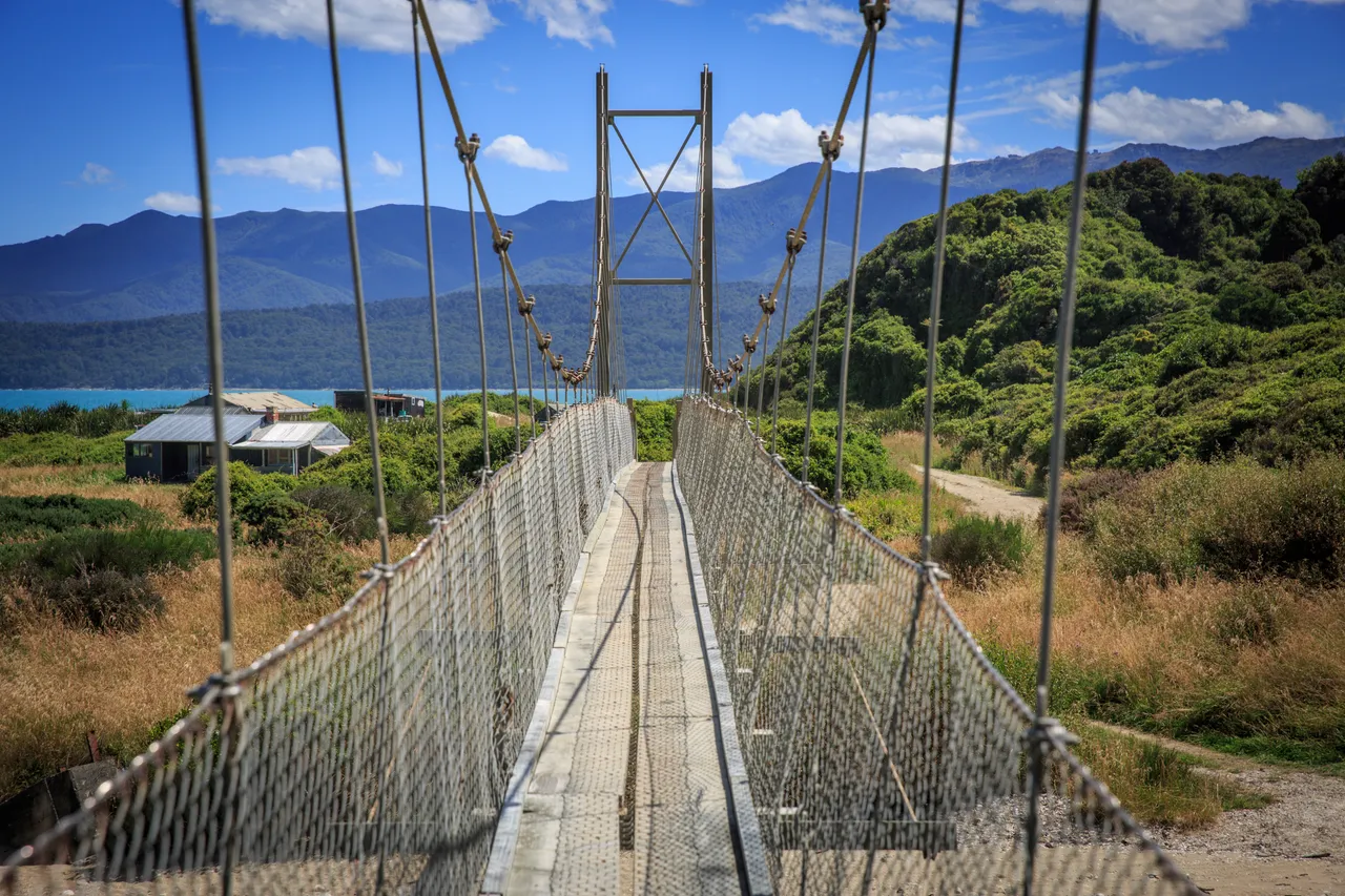 Hump Ridge Track - Southland, New Zealand - Credit Liz Carlson (222)