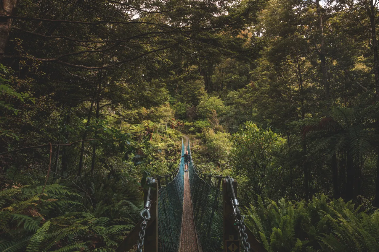 Hump Ridge Track - Southland, New Zealand - Credit Liz Carlson (29)