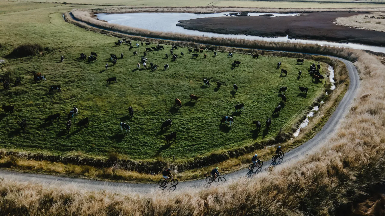 Te Ara Taurapa Bluff to Invercargill Cycle Trail - Southland, New Zealand - Credit Great South (75)