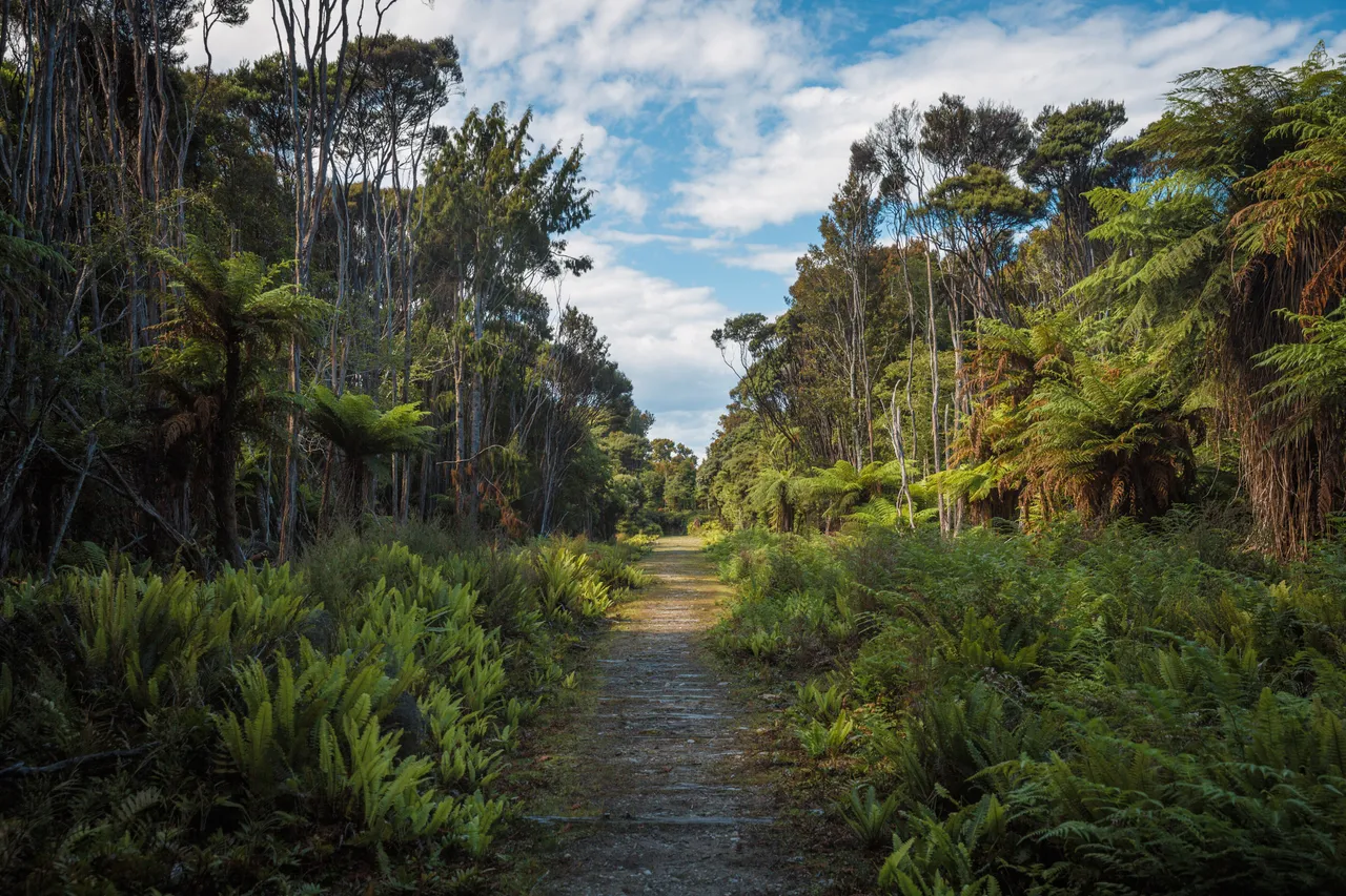 Hump Ridge Track - Southland, New Zealand - Credit Liz Carlson (188)