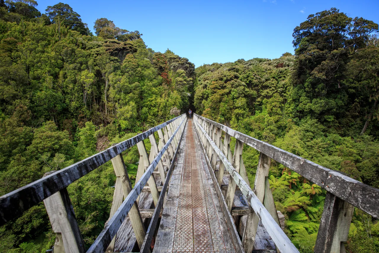 Hump Ridge Track - Southland, New Zealand - Credit Liz Carlson (184)