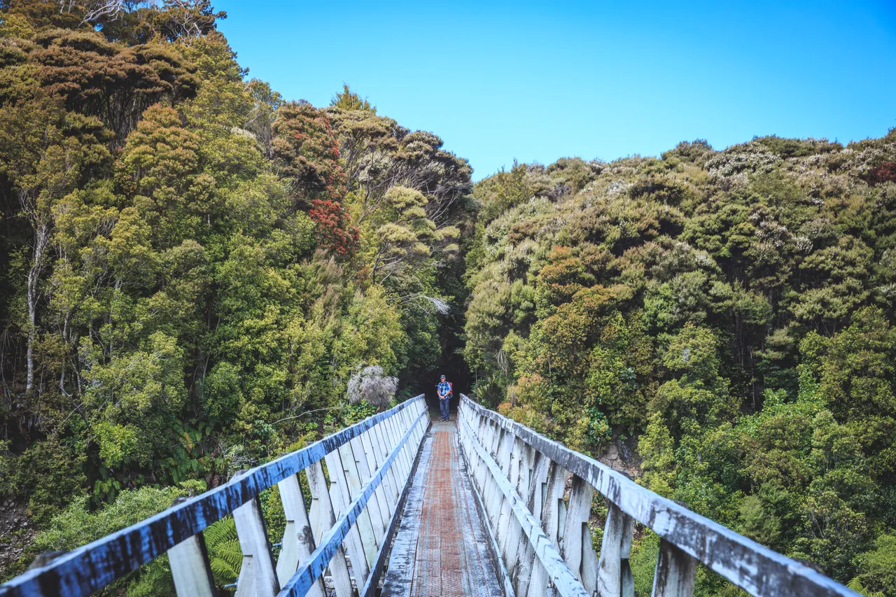 Hump Ridge Track - Southland, New Zealand - Credit Liz Carlson (185)