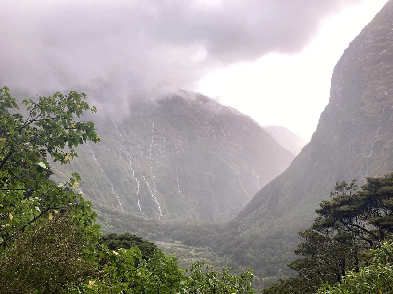 Milford Track - Southland, New Zealand - Credit Great South