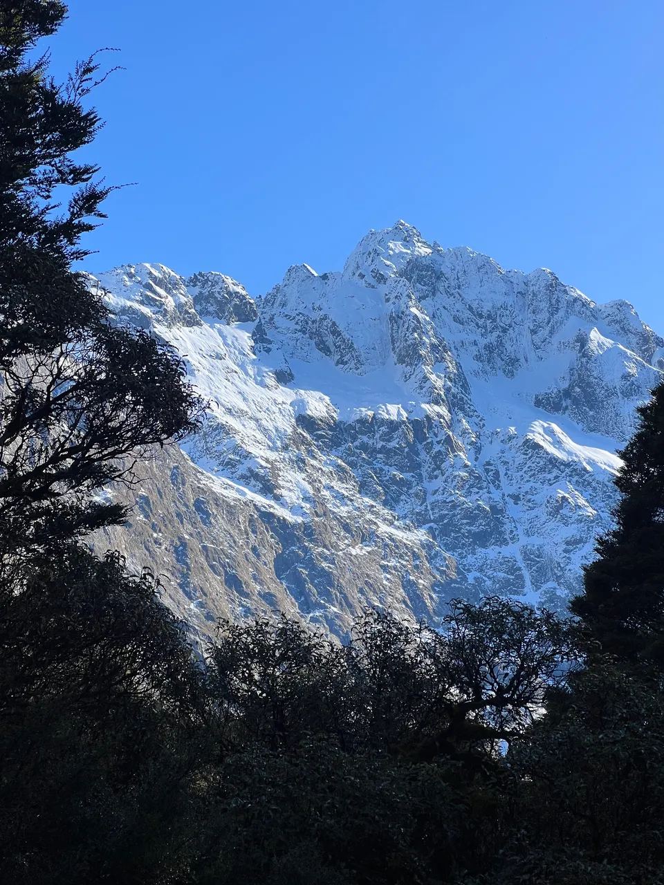 Lake Marian Track - Southland, New Zealand - Credit Great South (2)