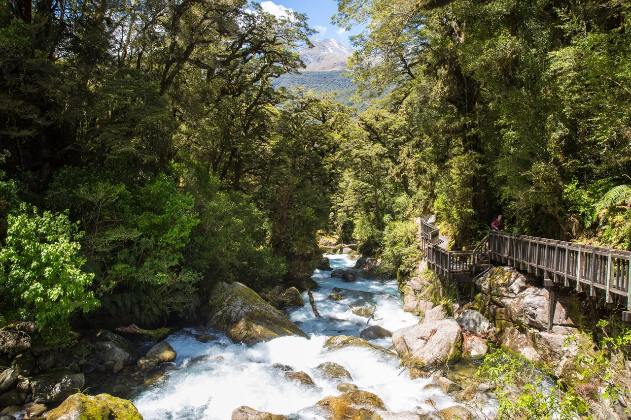 Lake Marian Track - Southland, New Zealand - Credit Liz Carlson (3)
