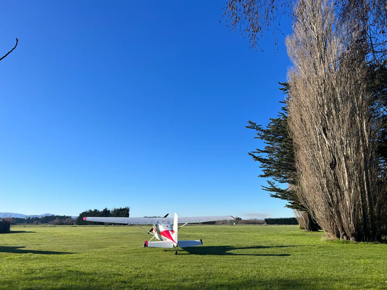 Miss Cocoa, Gore - Soutland, NZ - Credit Great South (2)