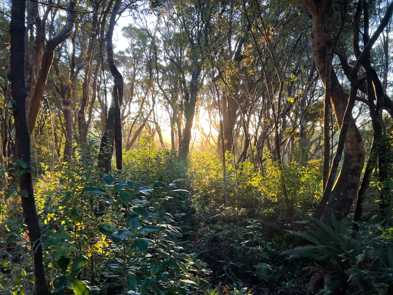 Omaui - Southland, New Zealand - Credit Great South (5)
