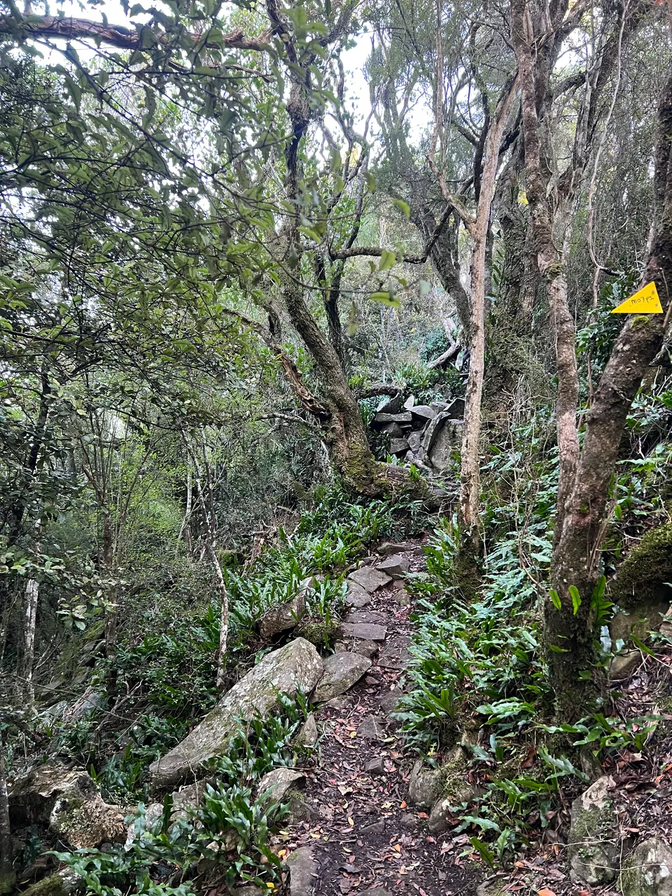 East Peak, Gore - Southland, NZ - Credit Great South (22)