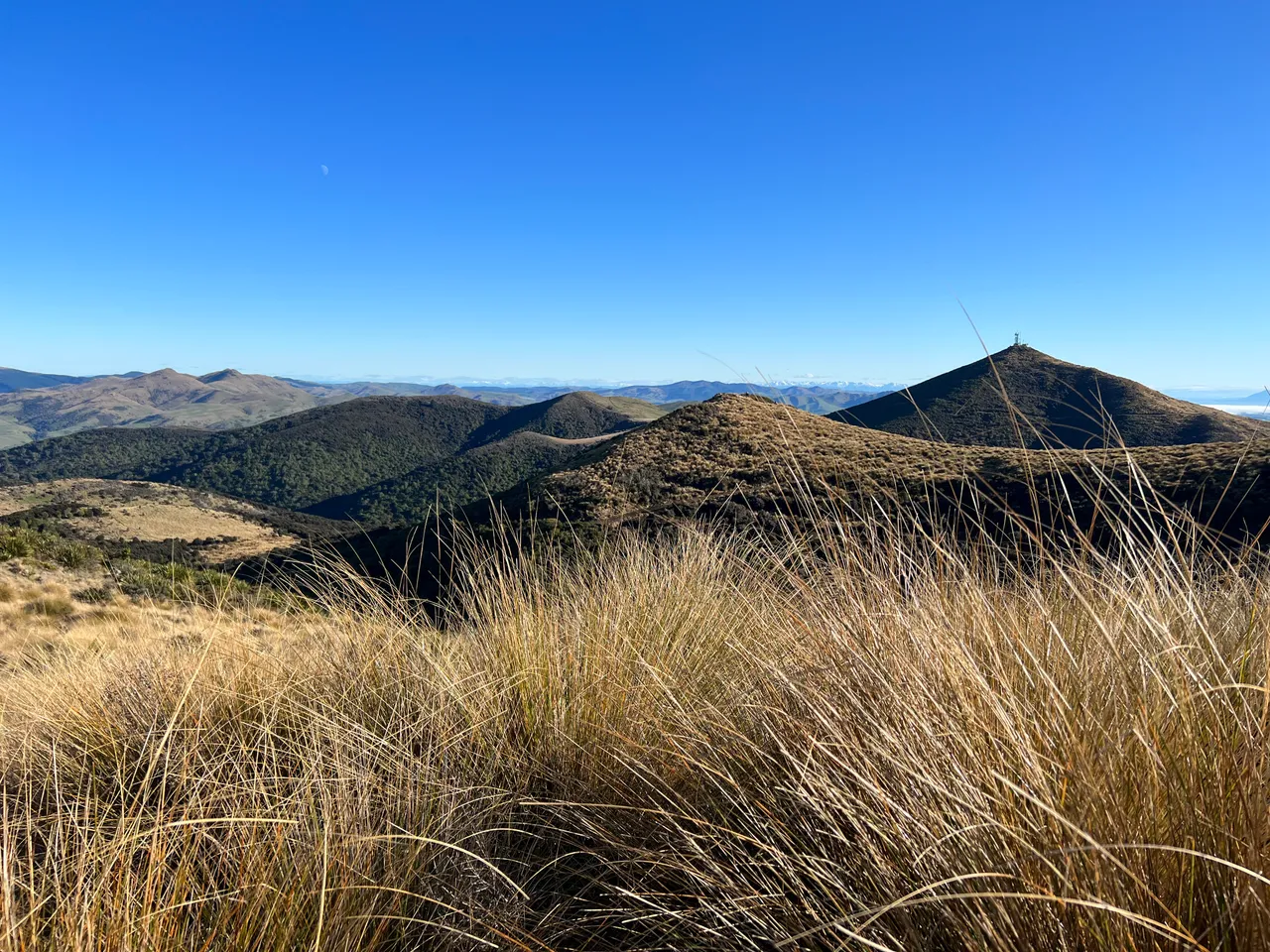 East Peak, Gore - Southland, NZ - Credit Great South (12)