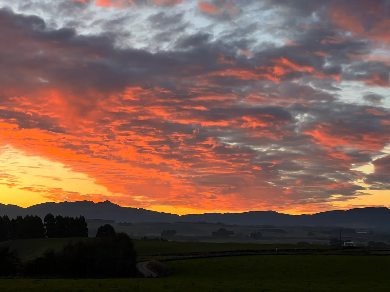 Rural Southland - Southland, New Zealand - Credit Great South