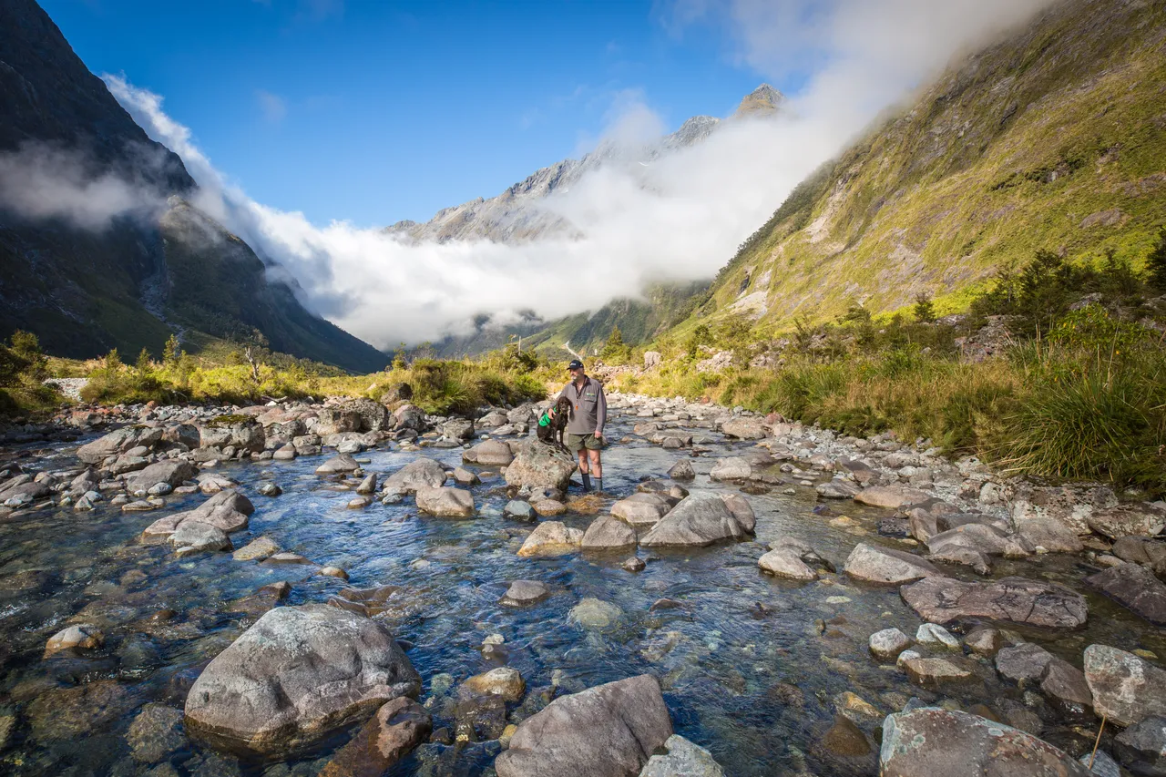Whio in Milford Sound - Southland, New Zealand - Credit Liz Carlson (27)