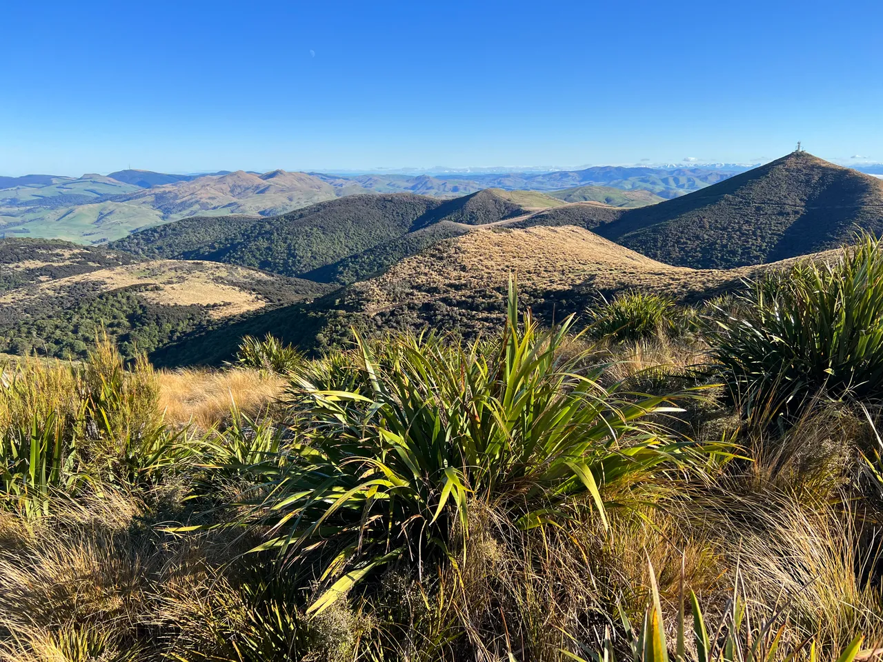 East Peak, Gore - Southland, NZ - Credit Great South (9)