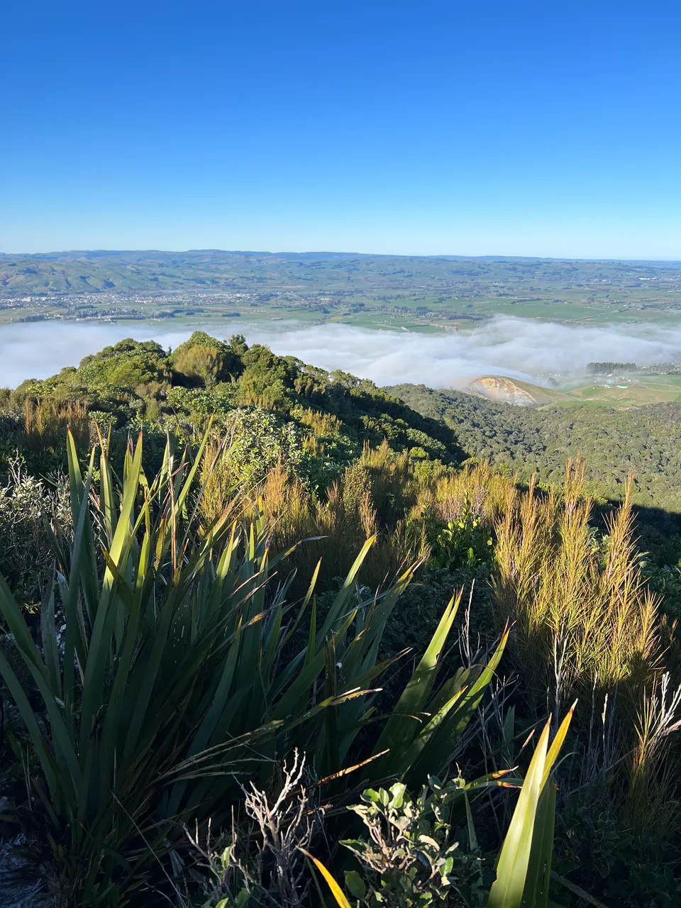 East Peak, Gore - Southland, NZ - Credit Great South (16)