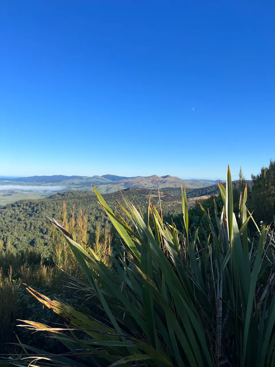 East Peak, Gore - Southland, NZ - Credit Great South (17)