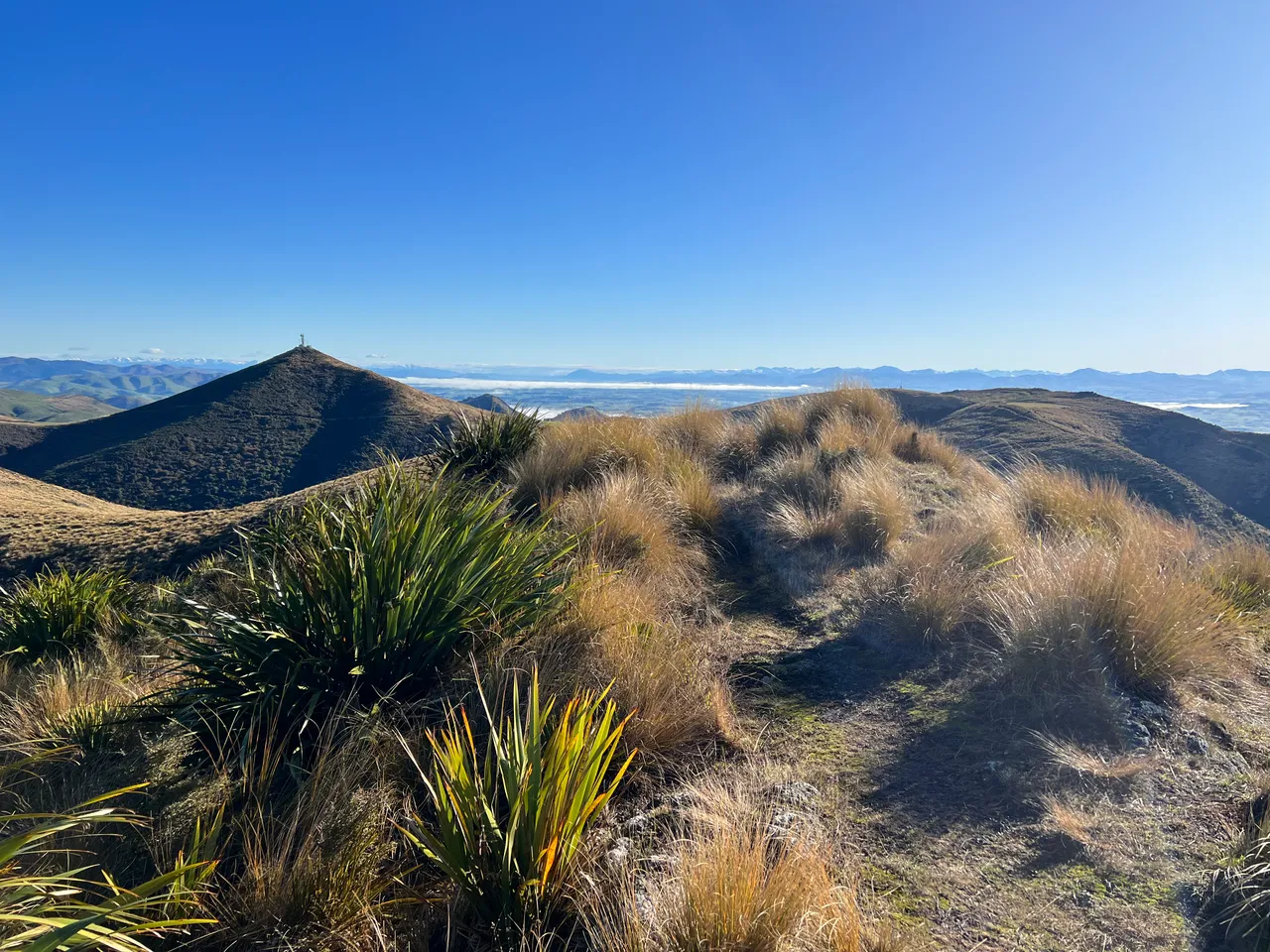 East Peak, Gore - Southland, NZ - Credit Great South (8)