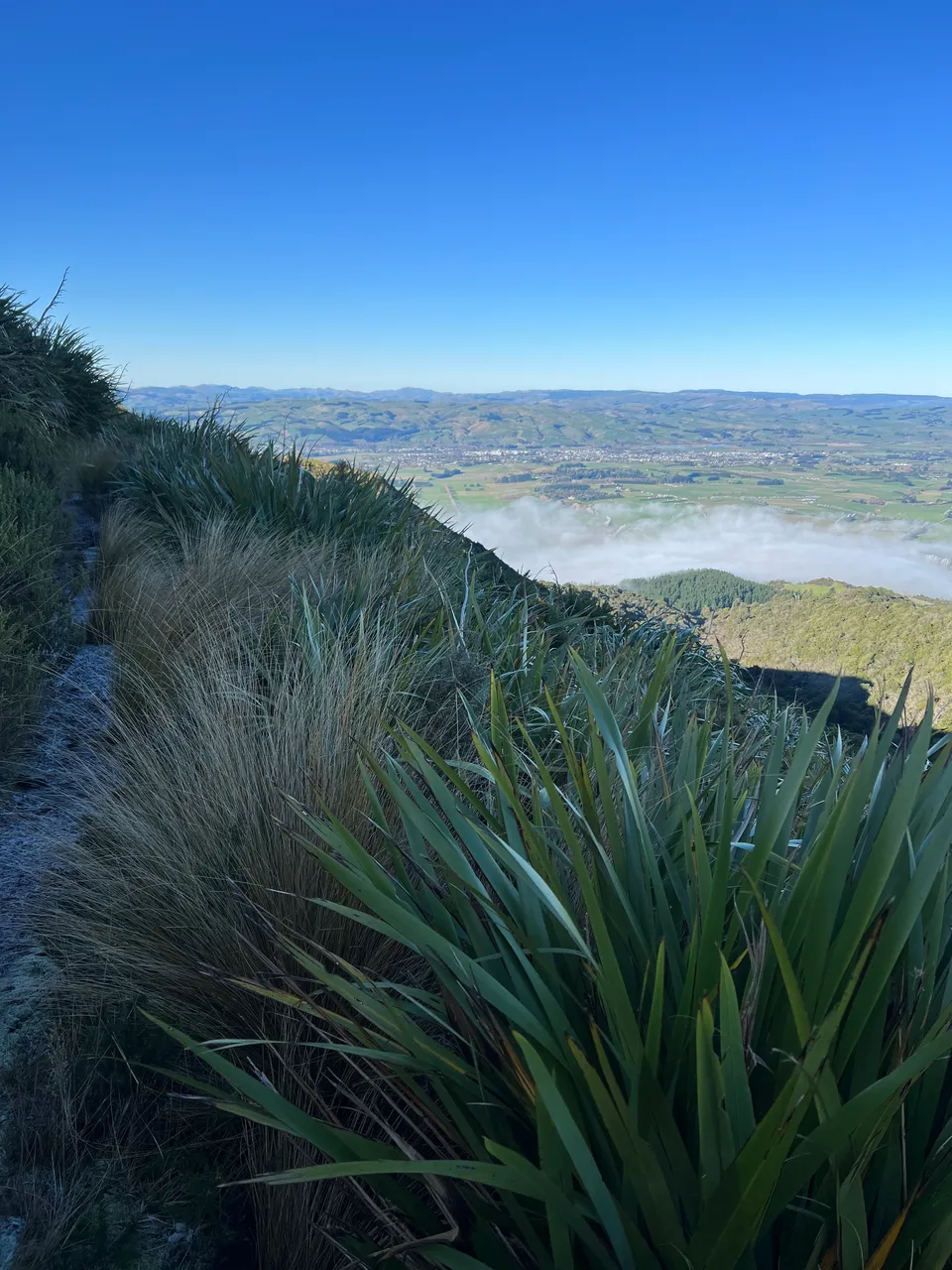 East Peak, Gore - Southland, NZ - Credit Great South (2)