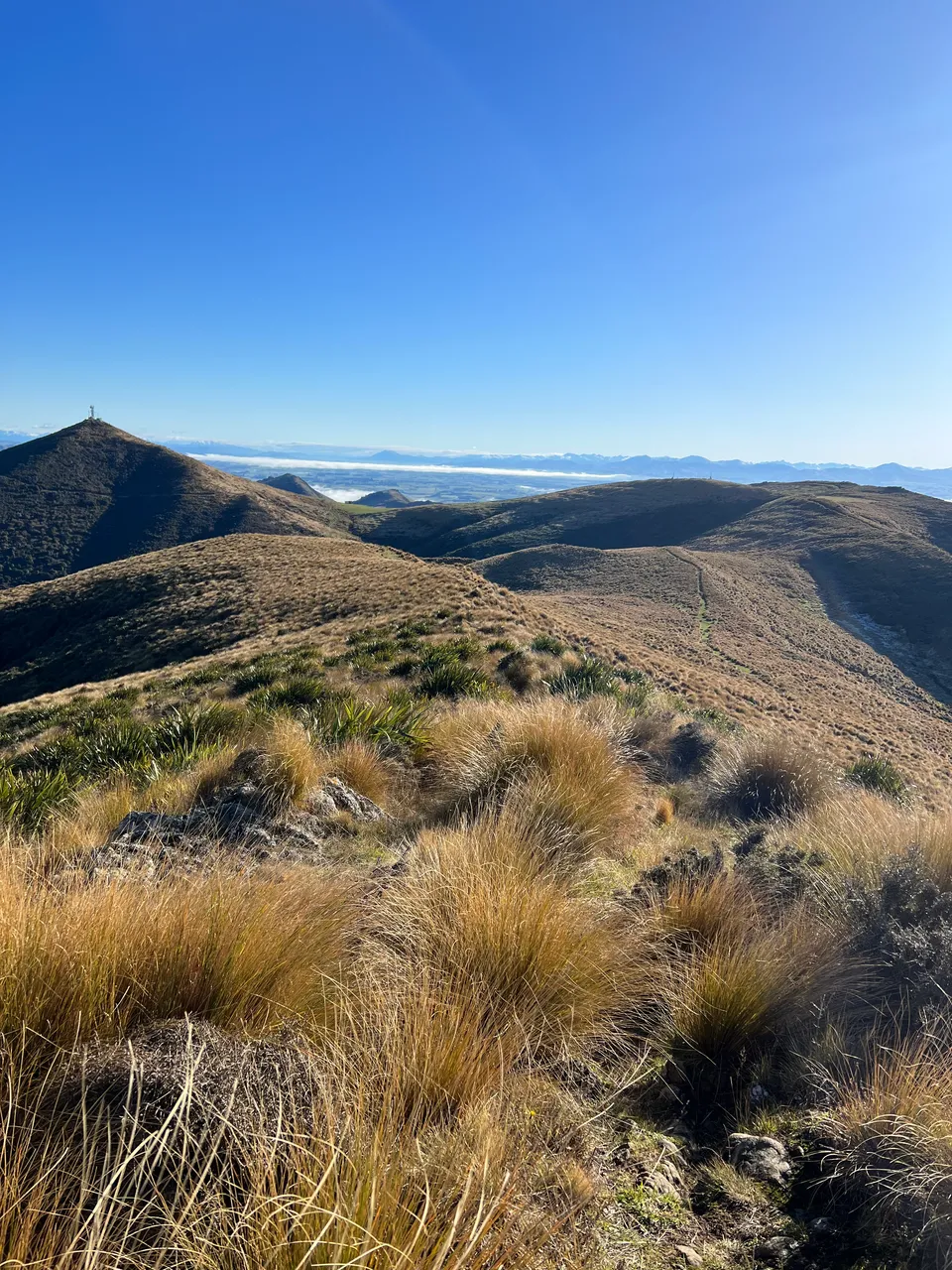 East Peak, Gore - Southland, NZ - Credit Great South (6)