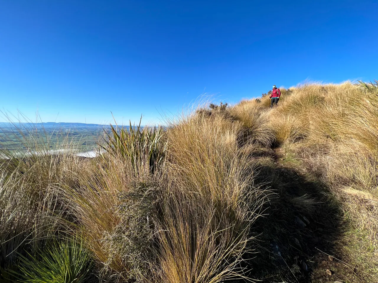 East Peak, Gore - Southland, NZ - Credit Great South (3)