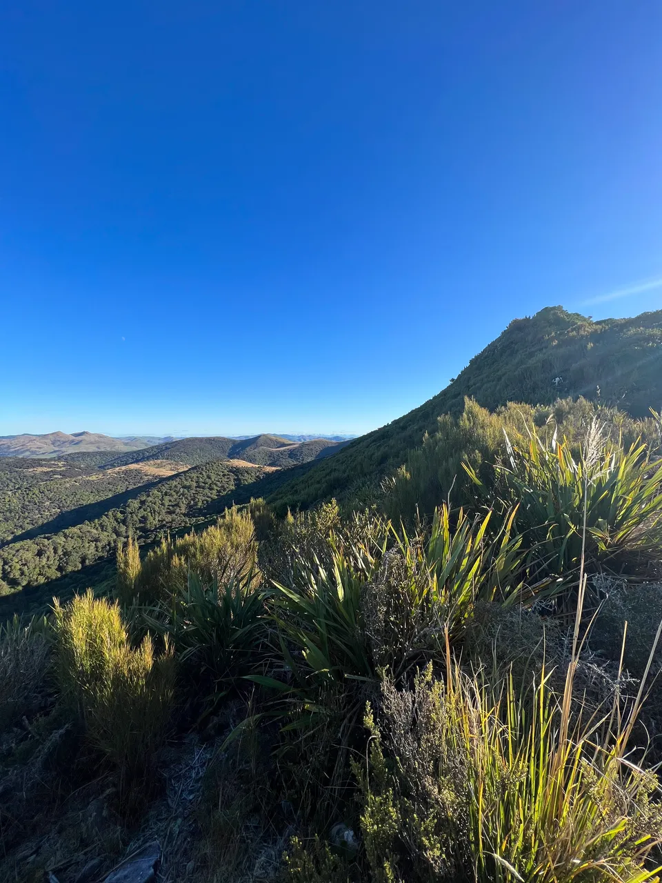 East Peak, Gore - Southland, NZ - Credit Great South (14)