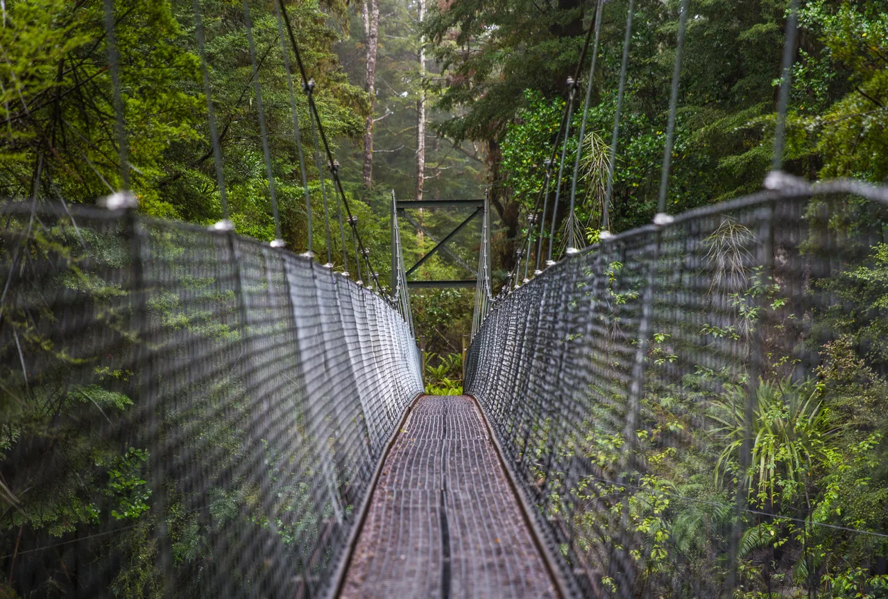 Kepler Track - Southland, New Zealand - Credit Liz Carlson (3)