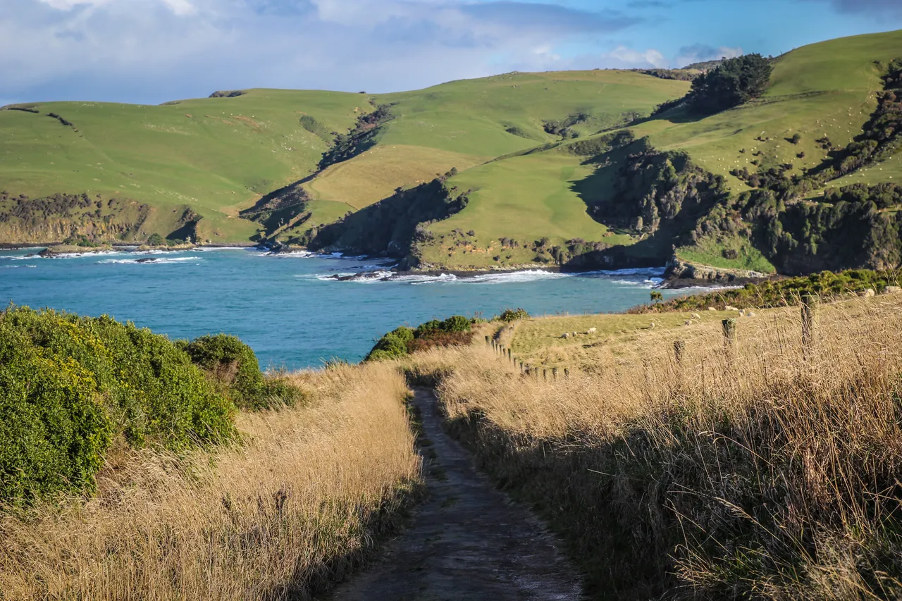 The Catlins - Southland, New Zealand - Credit Liz Carlson (2)
