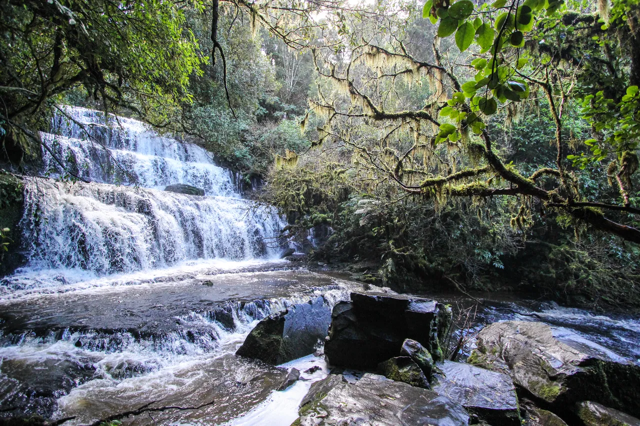 Purakaunui Falls, The Catlins - Southland, New Zealand - Credit Liz Carlson